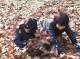 11月3日　幼児の自然体験プログラム　『落ち葉の国であそぼう！』