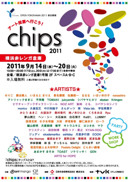chips 2011 DMイメージ