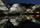 【佐賀県】九州最大級の「桜のライトアップ」